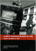 Great Mountain Burned by Fire