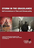 Storm in the Grasslands