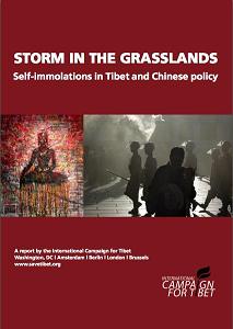 Storm in the Grasslands